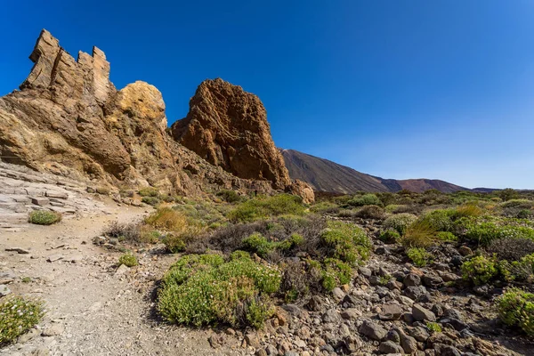 Campi Lava Las Canadas Caldera Del Teide Vulcano Formazioni Rocciose — Foto Stock