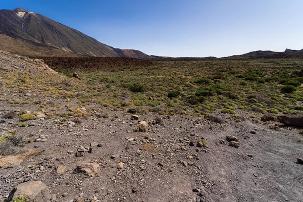 Láva Mezők Las Canadas Caldera Teide Vulkán Háttérben Tenerife Kanári — Stock Fotó