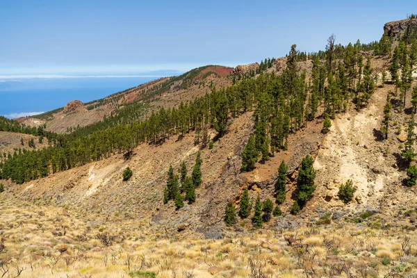 Déli Lejtők Láva Mezők Teide Vulkán Tenerife Kanári Szigetek Spanyolország — Stock Fotó