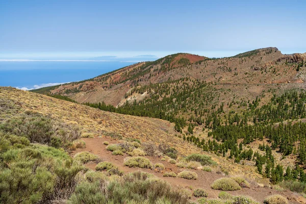 Déli Lejtők Láva Mezők Teide Vulkán Tenerife Kanári Szigetek Spanyolország — Stock Fotó