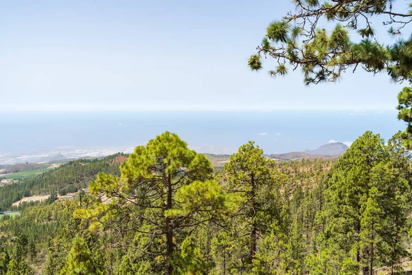 Las Laderas Del Sur Los Campos Lava Del Volcán Teide — Foto de Stock