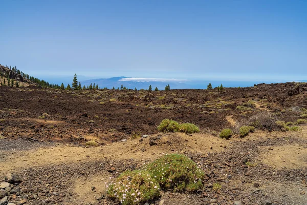 Campi Lava Del Vulcano Teide Tenerife Isole Canarie Spagna — Foto Stock