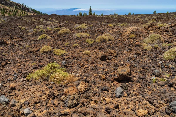 Láva Mezők Teide Vulkán Tenerife Kanári Szigetek Spanyolország — Stock Fotó
