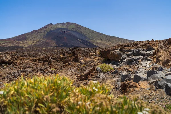 Campos Lava Vulcão Teide Tenerife Ilhas Canárias Espanha — Fotografia de Stock