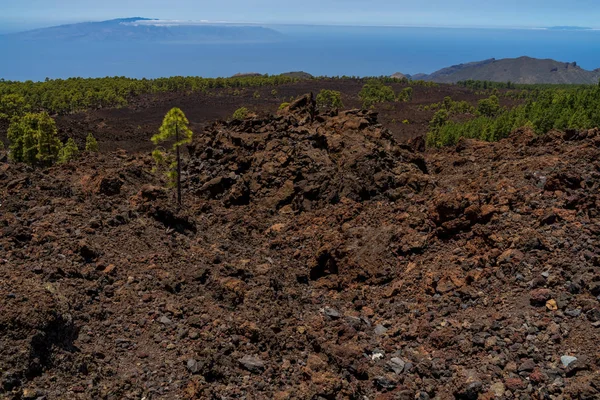 Láva Mezők Teide Vulkán Kanári Fenyő Cserjések Szempontból Mirador Los — Stock Fotó