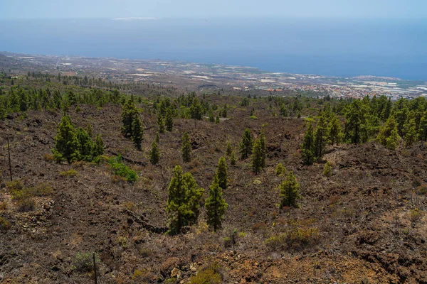 Kilátás Nyílik Sziget Nyugati Oldalán Szempontból Mirador Chirche Tenerife Kanári — Stock Fotó