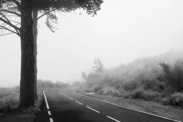 Estrada Nevoeiro Vai Para Distância Preto Branco — Fotografia de Stock