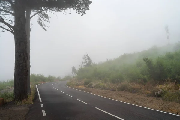 Estrada Nevoeiro Vai Para Distância — Fotografia de Stock