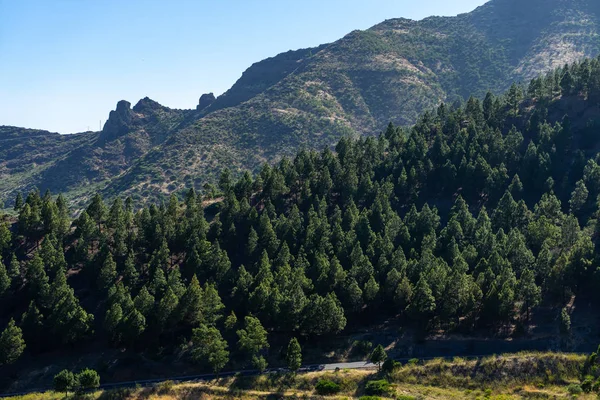 Valle Montanas Negras Mirador Del Teide Tenerife Islas Canarias España — Foto de Stock