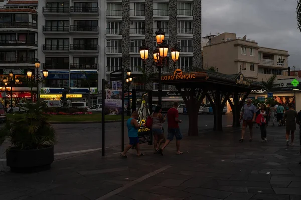 Puerto Cruz Islas Canarias España Julio 2018 Calle Nocturna Junto —  Fotos de Stock