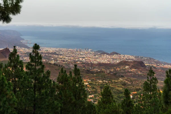 Blick Die Dämmerung Von Santa Cruz Teneriffa Vom Aussichtspunkt Mirador — Stockfoto