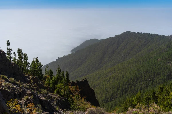 Kilátás Nyílik Völgyre Erdő Felhők Alatt Nézőpont Mirador Ortuño Tenerife — Stock Fotó