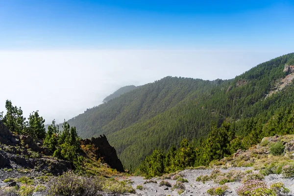 Kilátás Nyílik Völgyre Erdő Felhők Alatt Nézőpont Mirador Ortuño Tenerife — Stock Fotó