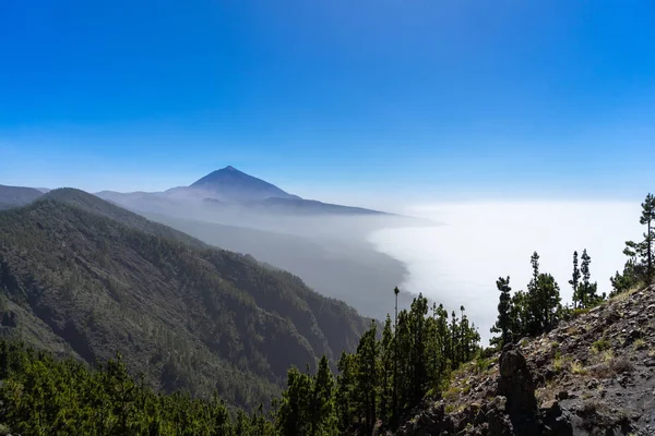 View Fájl Tárolja Teide Vulkán Nézőpont Mirador Ortuño Kanári Szigetek — Stock Fotó