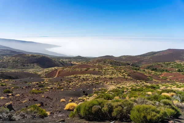 Kilátás Nyílik Völgyre Erdő Felhők Alatt Nézőpont Mirador Tarta Tenerife — Stock Fotó