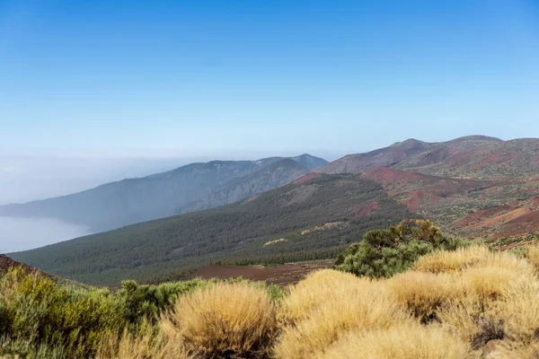 Sivatagi Táj Teide Vulkán Közelében Nézőpont Mirador Caramujo Tenerife Kanári — Stock Fotó