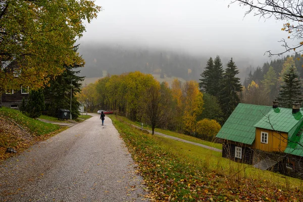 Vue Village Labska Des Montagnes Environnantes Montagnes Géantes Krkonose République — Photo