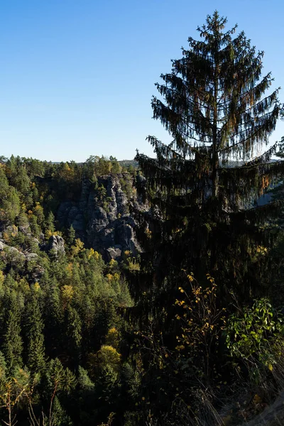 Φθινόπωρο Στη Σαξονική Ελβετία Βουνά Ψαμμίτη Elbe Γερμανία — Φωτογραφία Αρχείου