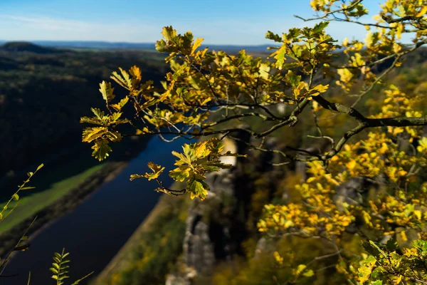 Κίτρινα Φύλλα Στο Φόντο Της Κοιλάδας Του Ποταμού Έλβα Ούζεντομ — Φωτογραφία Αρχείου