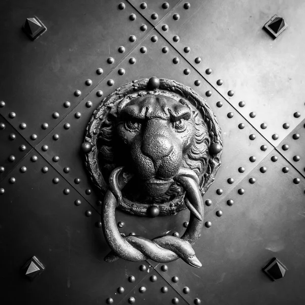 一个古色古香的门把手 形状是狮子头 嘴里拿着一条蛇 黑色和白色 — 图库照片