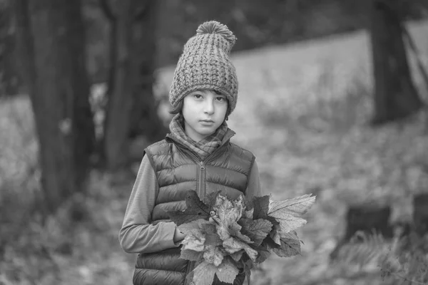 Portrait Boy Fallen Leaves His Hands Black White — Stock Photo, Image