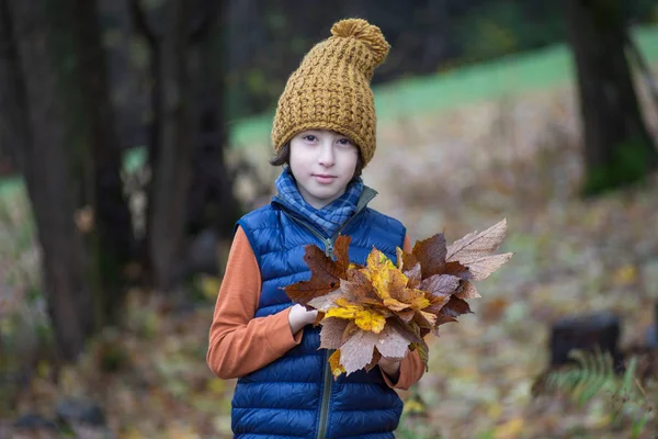 Portrait Boy Fallen Leaves His Hands — Stock Photo, Image