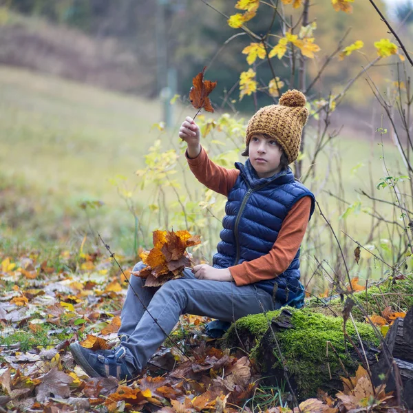 Portrait Boy Fallen Leaves His Hands — Stock Photo, Image