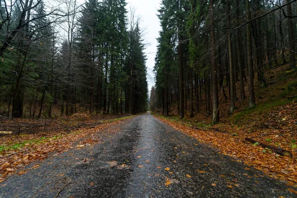 Estrada Floresta Outono Nas Encostas Das Montanhas Krkonose Montanhas Gigantes — Fotografia de Stock