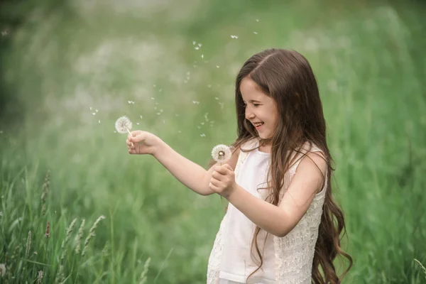Portrait Beautiful Little Girl Dandelions — Stock Photo, Image