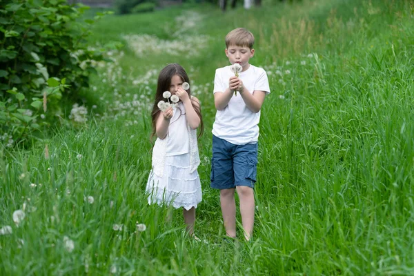 タンポポのフィールドで遊ぶ少女と少年 — ストック写真