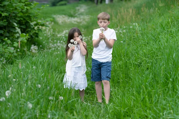 Boy Girl Playing Field Dandelions — Stock Photo, Image