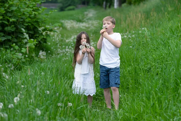 Boy Girl Playing Field Dandelions — Stock Photo, Image