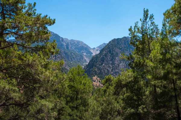 Vistas Naturales Verano Paisaje Garganta Samaria Creta Países Bajos — Foto de Stock