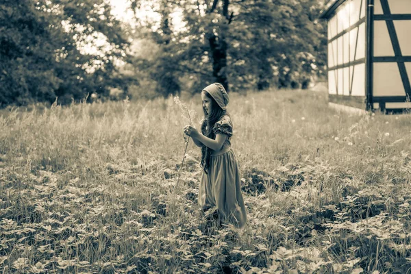 Girl Dress Retro Style Dandelions Duoton Toning — Stock Photo, Image