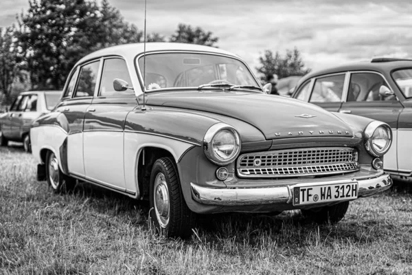 Paaren Glien Alemania Junio 2019 Coche Ejecutivo Opel Kapitan 1948 —  Fotos de Stock