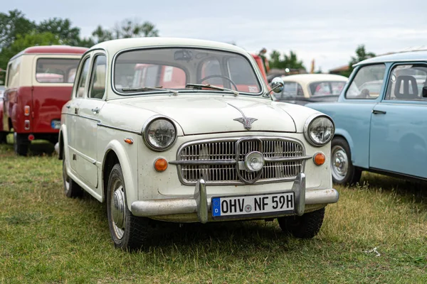 Paaren Glien Tyskland Juni 2019 Kompakt Bil Nsu Fiat 1100 — Stockfoto