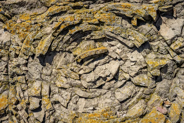 Roca Sedimentaria Estructura Piedra Natural Contexto —  Fotos de Stock