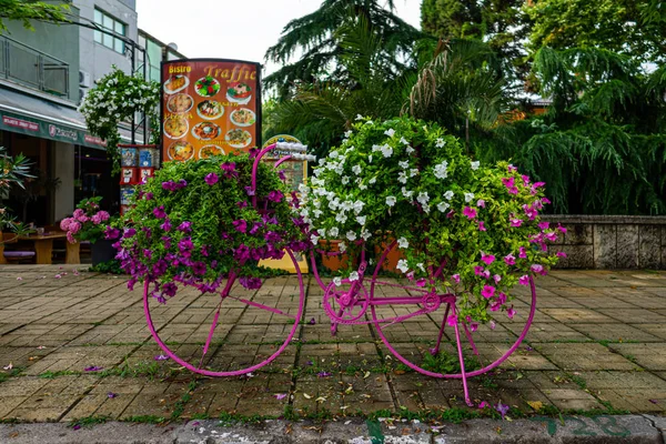 Pomorie Bulgária Junho 2019 Decoração Forma Bicicleta Flores Frente Entrada Fotografia De Stock