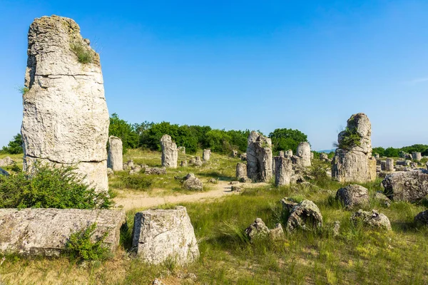 Pobiti Kamani Vysazené Kameny Známé Také Jako Kamenná Poušť Pouštní — Stock fotografie