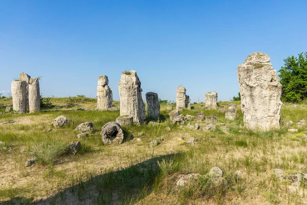 Pobiti Kamani Vysazené Kameny Známé Také Jako Kamenná Poušť Pouštní — Stock fotografie