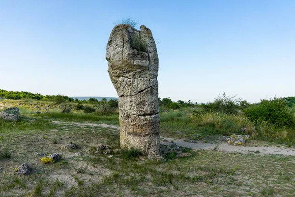 Pobiti Kamani Planted Stones Also Known Stone Desert Desert Rock — Stock Photo, Image