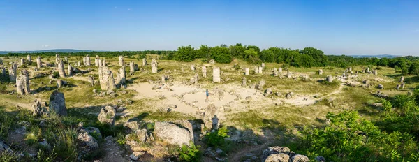 Pobiti Kamani Pierre Plantée Aussi Connu Sous Nom Désert Pierre — Photo