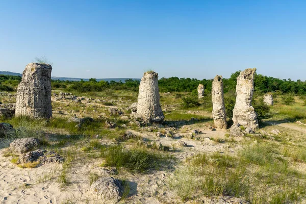 Pobiti Kamani Geplant Stenen Ook Bekend Als Stone Desert Een — Stockfoto