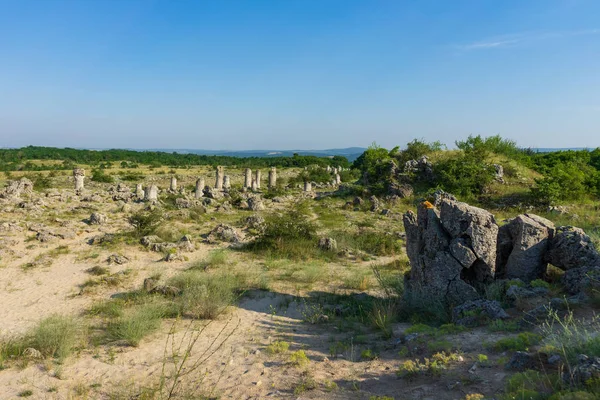 Pobiti Kamani Pierres Plantées Également Connu Sous Nom Désert Pierre — Photo