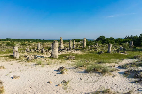 Pobiti Kamani Vysazené Kameny Známé Také Jako Kamenná Poušť Pouštní — Stock fotografie