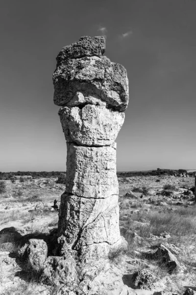 Побити Камани Высаженные Камни Известная Каменная Пустыня Является Пустынным Явлением — стоковое фото