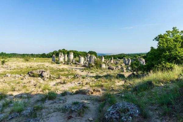 Pobiti Kamani Vysazené Kameny Známé Také Jako Kamenná Poušť Pouštní — Stock fotografie