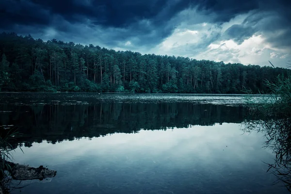 Beautiful view of the lake hidden in a dense forest