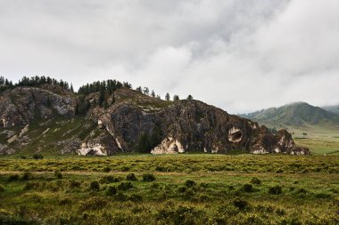 Orman dağları ile manzara.