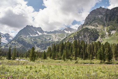 Orman dağları ile manzara.